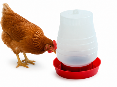 Comedero para Aves de Plástico Nº 2
