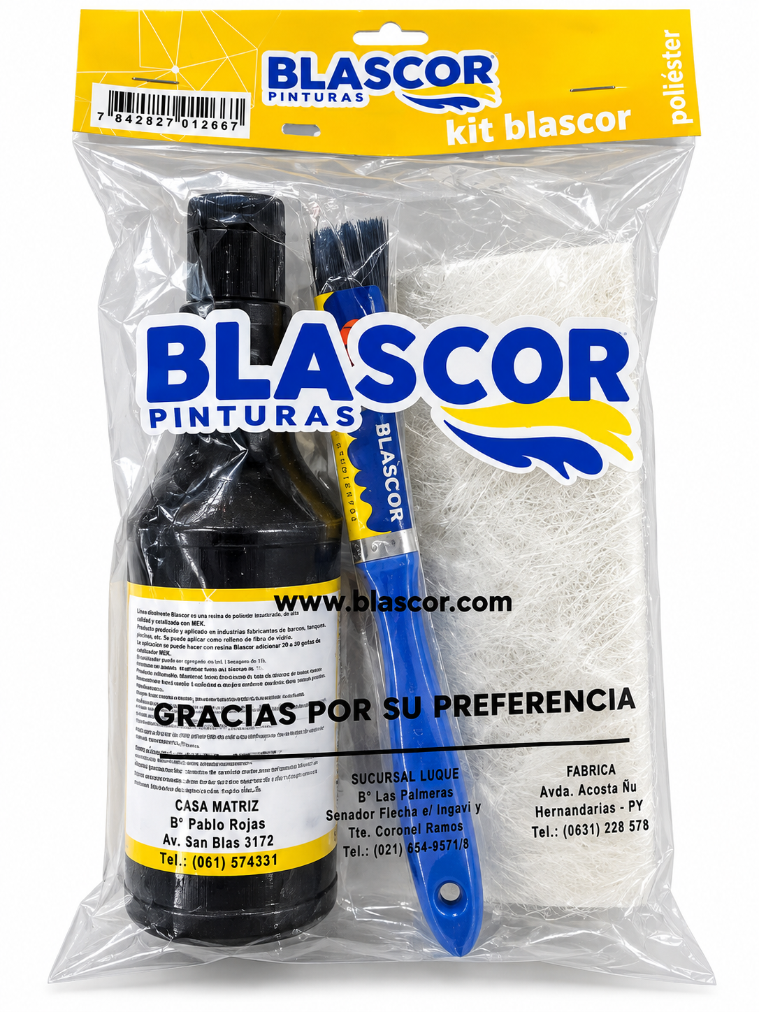 Kit de Resina con Fibra de Vidrio y Catalizador Blascor 400 g