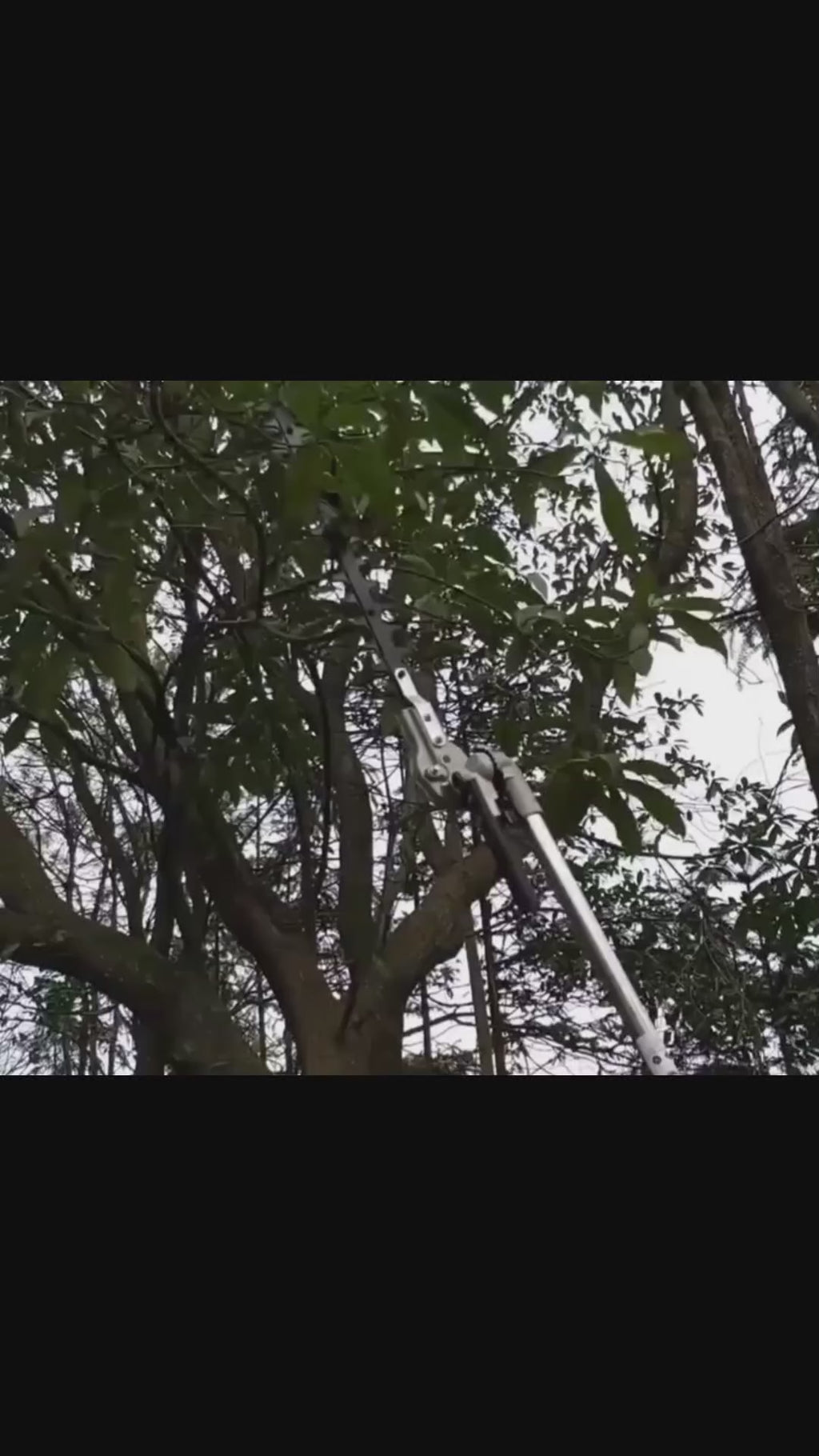 accesorio desmalezadora cortasetos.