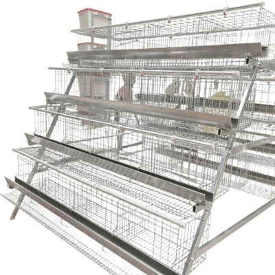 Jaula para Gallina Ponedora con Bebedero